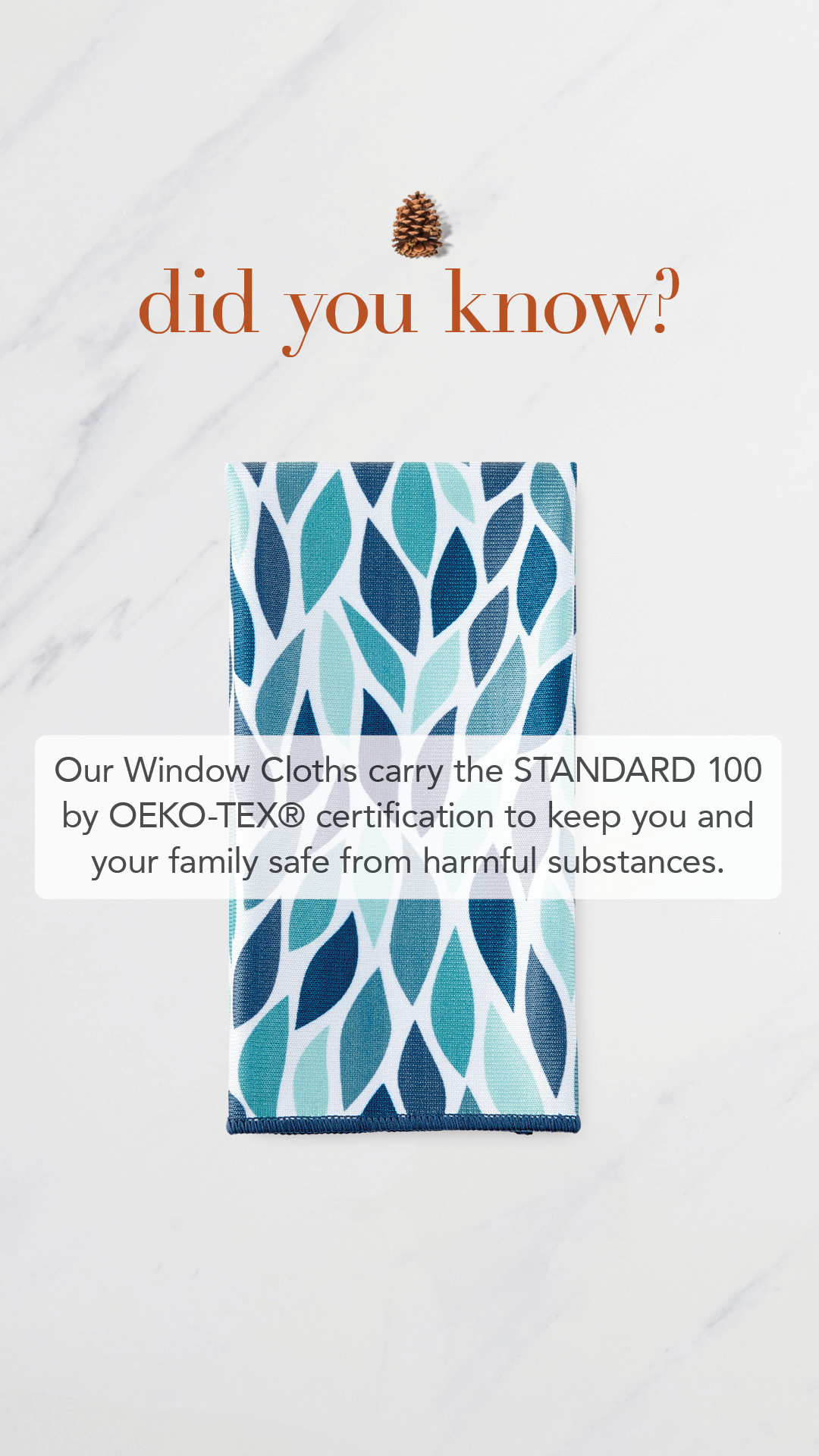 Norwex Window Cloths