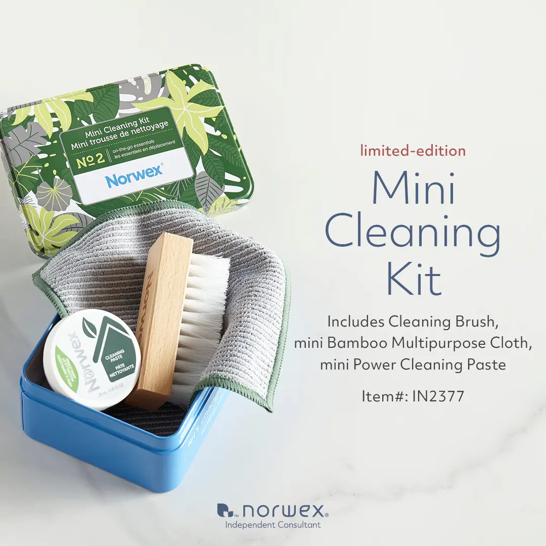 NEW! Norwex Limited-edition Mini Cleaning Kit | February 2024 Special