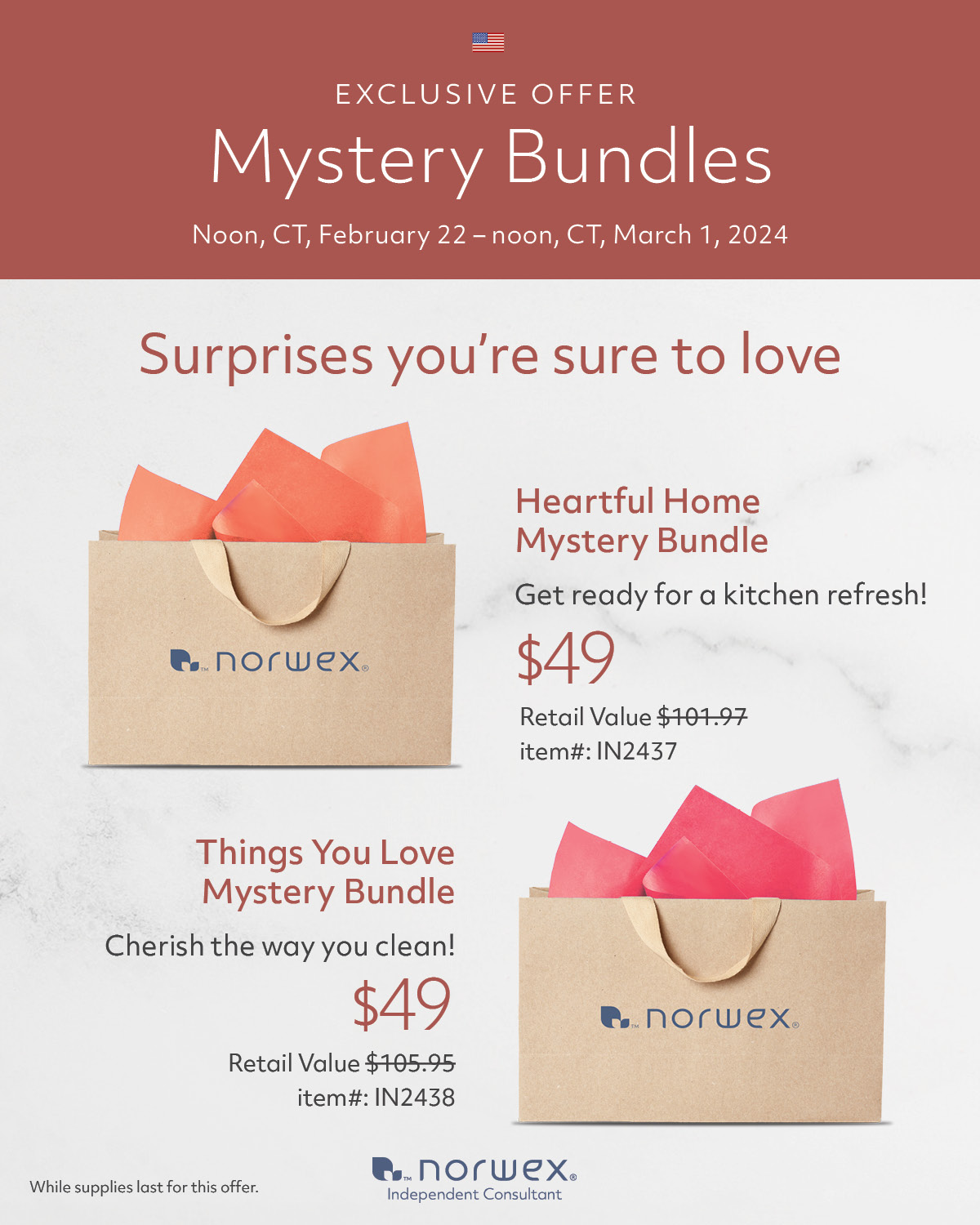 Norwex Mystery Bundles - February 22, 2024
