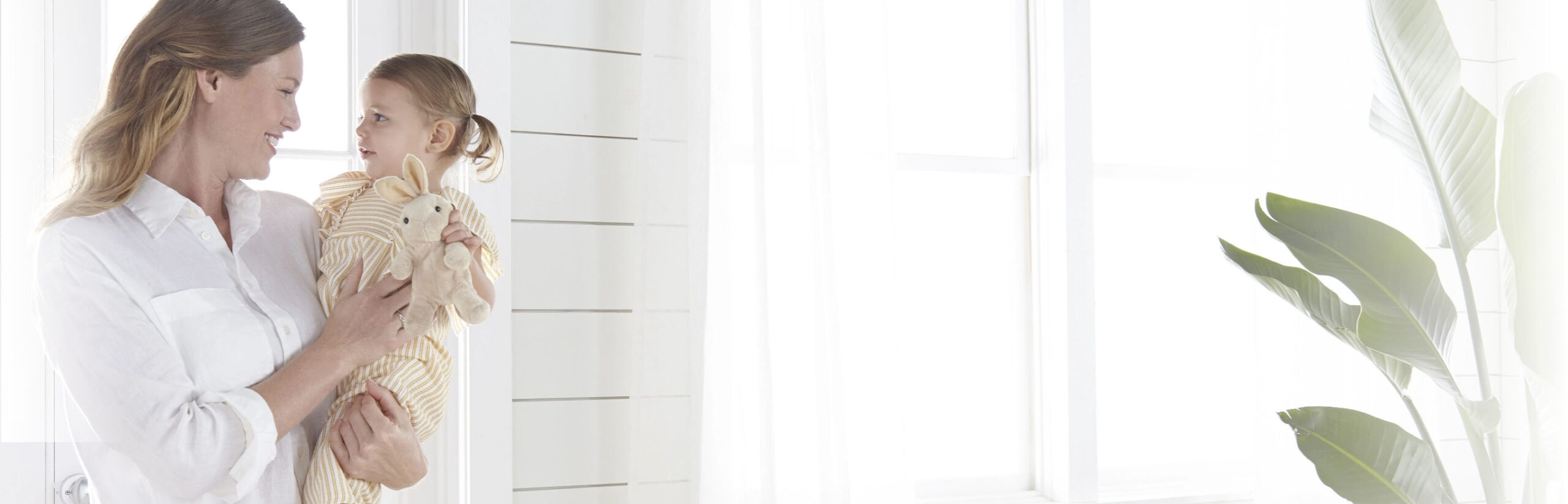 Norwex All Purpose Cream Cleaner