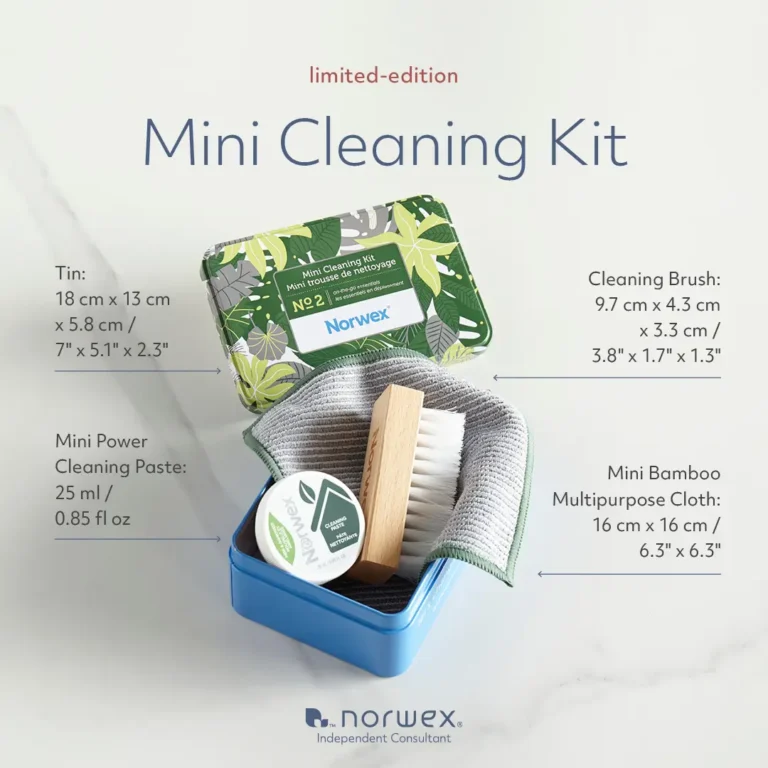 NEW! Norwex Limited-edition Mini Cleaning Kit | February 2024 Special