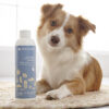Norwex Pet Stain & Odour Remover Concentrate